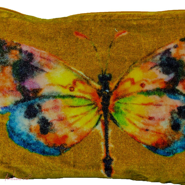 Imbarro pouch butterfly