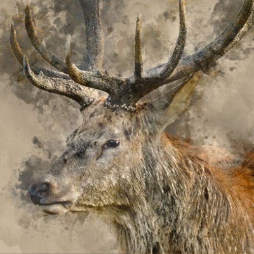 Yes, Deer - Mint by Michelle decoupage papier A1