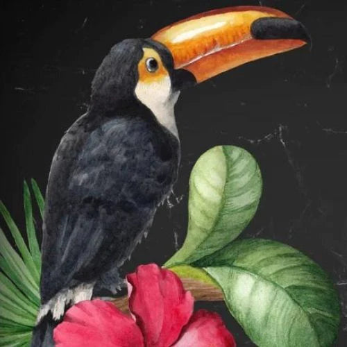 Toucan - Mint by Michelle decoupage papier A1