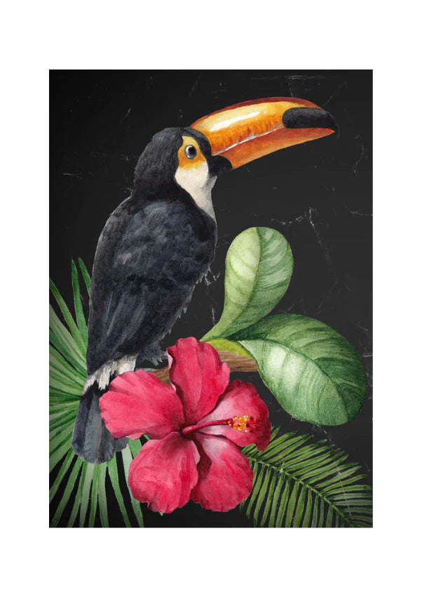 Toucan - Mint by Michelle decoupage papier A1