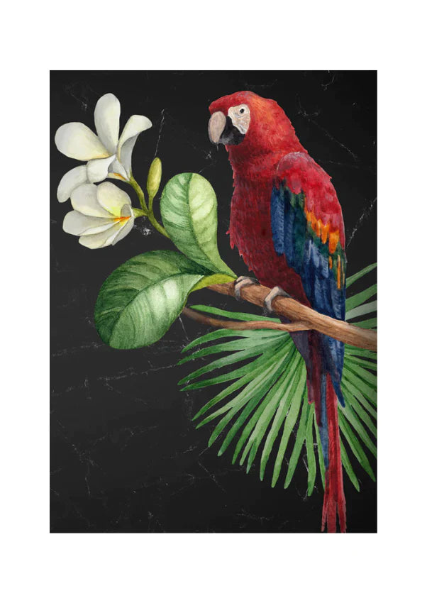 Parrot - Mint by Michelle decoupage papier A3