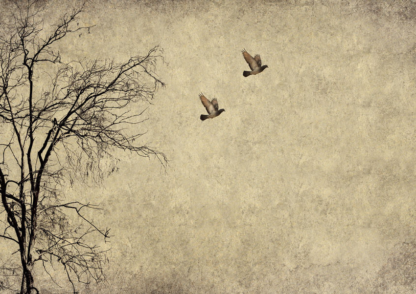 Flying Birds- Mint by Michelle decoupage papier