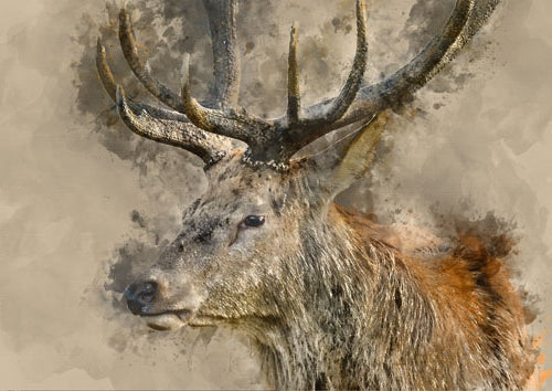 Yes, Deer - Mint by Michelle decoupage papier A1