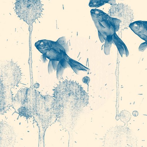 Blue Fish - Mint by Michelle decoupage papier