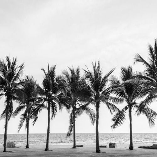 Palm Trees - Mint by Michelle decoupage papier A3