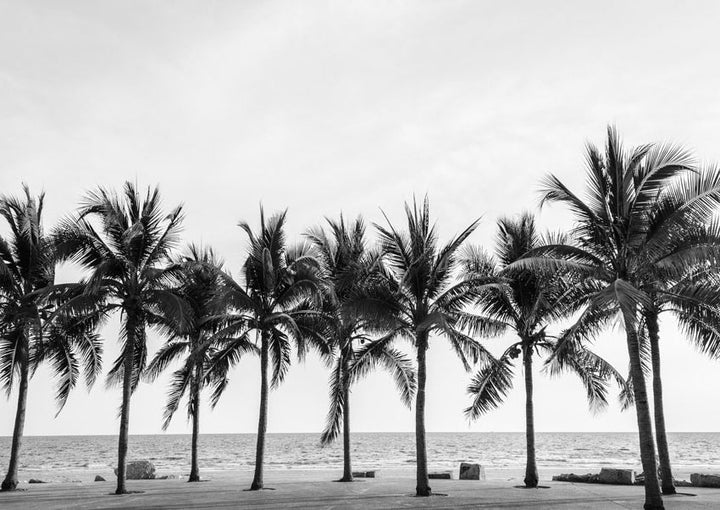 Palm Trees - Mint by Michelle decoupage papier A3
