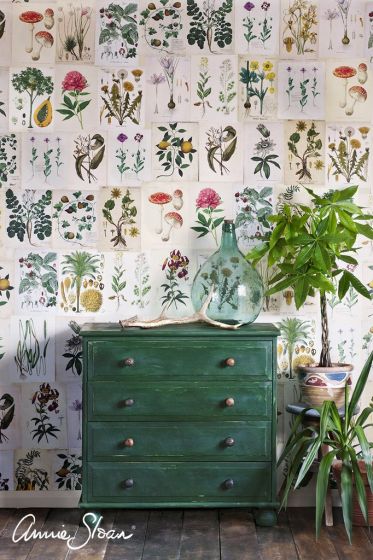 Annie Sloan Chalk Paint Amsterdam Green