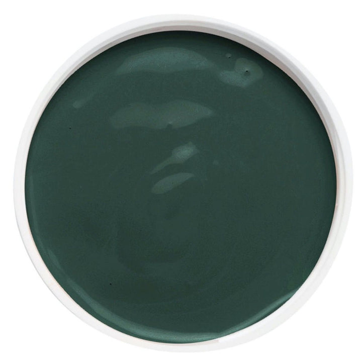 Fusion Mineral Paint - PRESSED FERN