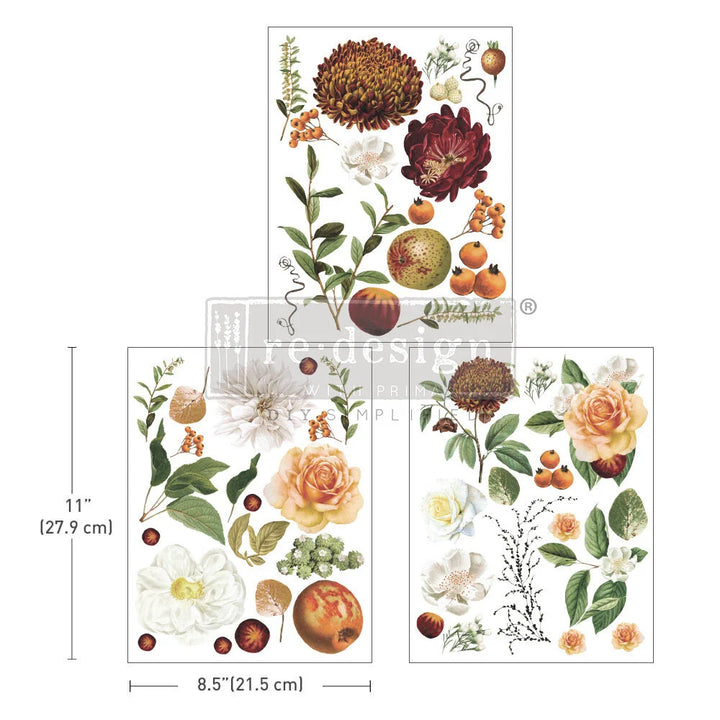 Middy Transfer "Seasonal Splendor" by Redesign with Prima